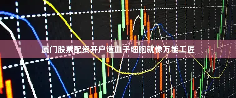 厦门股票配资开户造血干细胞就像万能工匠