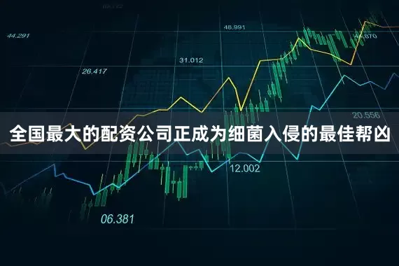 全国最大的配资公司正成为细菌入侵的最佳帮凶